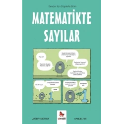 Matematikte Sayılar – Gençler İçin Çizgilerle Bilim