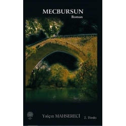 Mecbursun