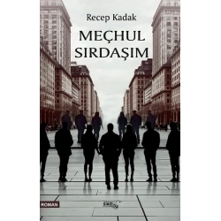 Meçhul Sırdaşım
