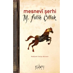 Mesnevi Şerhi
