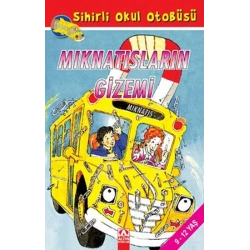 Mıknatısların Gizemi