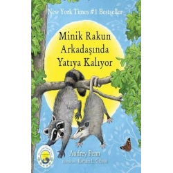 Minik Rakun Arkadaşında Yatıya Kalıyor