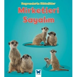 Mirketleri Sayalım