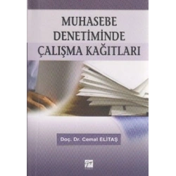 Muhasebe Denetiminde Çalışma Kağıtları