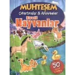 Muhteşem Çıkartmalar ve Aktiviteler : Evcil Hayvanlar
