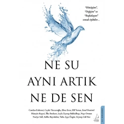 Ne Su Aynı Artık Ne de Sen