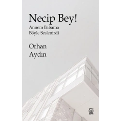 Necip Bey!
