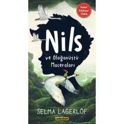 Nils ve Olağanüstü Maceraları