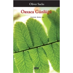 Oaxaca Günlüğü
