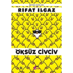 Öksüz Civciv