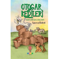 Otogar Kedileri 2 - Kedilerin Başı Belada