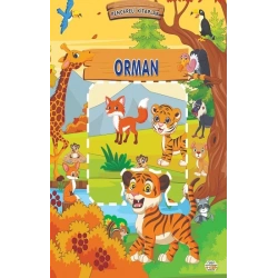 Pencereli Kitaplar Orman (Sıvama Cilt)