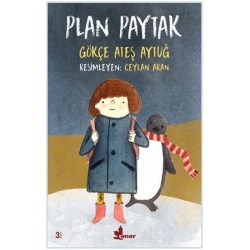 Plan Paytak