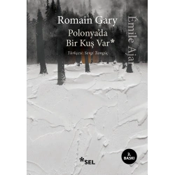 Polonyada Bir Kuş Var