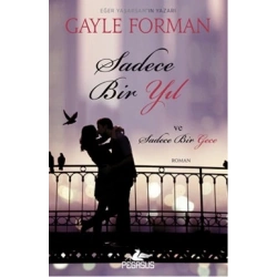 Sadece Bir Yıl ve Sadece Bir Gece