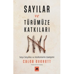 Sayılar ve Türümüze Katkıları