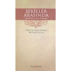 Şekiller Arasında