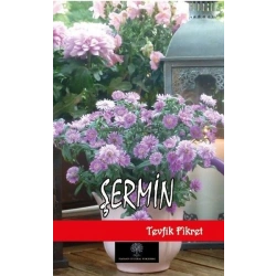 Şermin