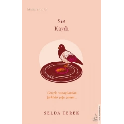 Ses Kaydı