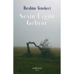 Sesin Üzgün Geliyor