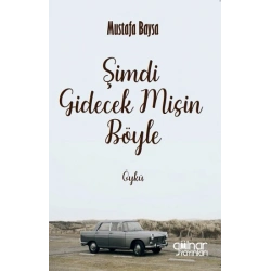Şimdi Gidecek Misin Böyle