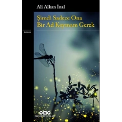 Şimdi Sadece Ona Bir Ad Koymam Gerek