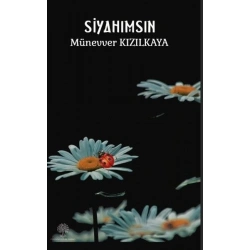 Siyahımsın