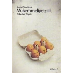 Siyaset Teorisinde Mükemmelliyetçilik