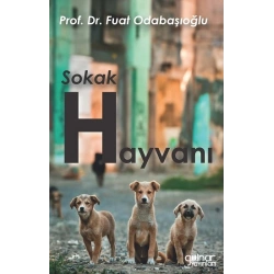 Sokak Hayvanı