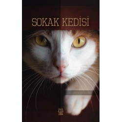 Sokak Kedisi