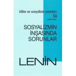 Sosyalizmin İnşasında Sorunlar
