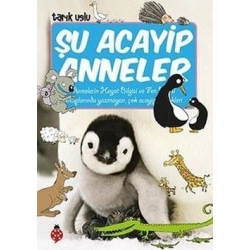 Şu Acayip Anneler