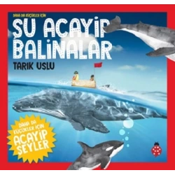 Şu Acayip Balinalar