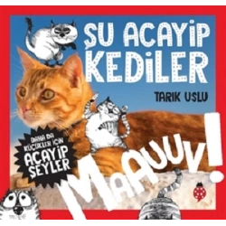 Şu Acayip Kediler - Maauuv!