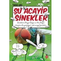 Şu Acayip Sinekler