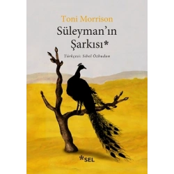 Süleymanın Şarkısı