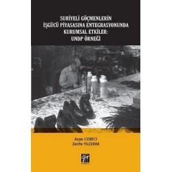 Suriyeli Göçmenlerin İşgücü Piyasasına Entegrasyonunda Kurumsal Etkiler - UNDP Örneği