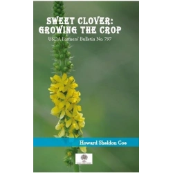 Sweet Clover: Growing the Crop