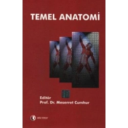 Temel Anatomi
