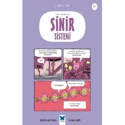 Temel Kavramlarla Sinir Sistemi
