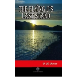 The Flying Us Last Stand