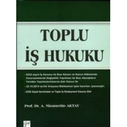 Toplu İş Hukuku
