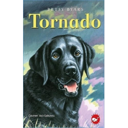 Tornado