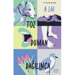 Toz Duman Dağılınca
