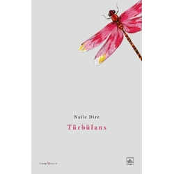 Türbülans