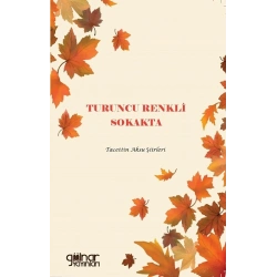 Turuncu Renkli Sokakta