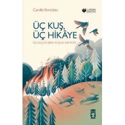 Üç Kuş, Üç Hikaye