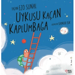 Uykusu Kaçan Kaplumbağa
