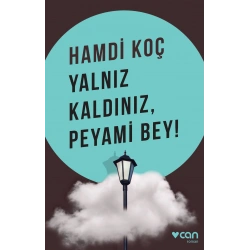 Yalnız Kaldınız, Peyami Bey!