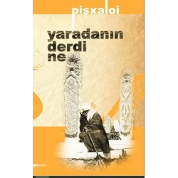 Yaradanın Derdi Ne